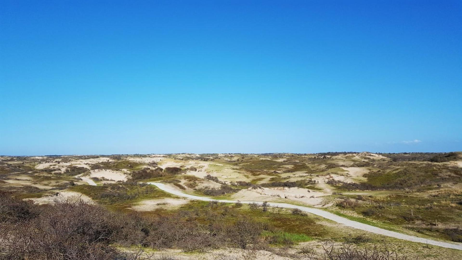 Bamboe Suite Bentveld Met Ligbad En Gratis Parkeren Buitenkant foto
